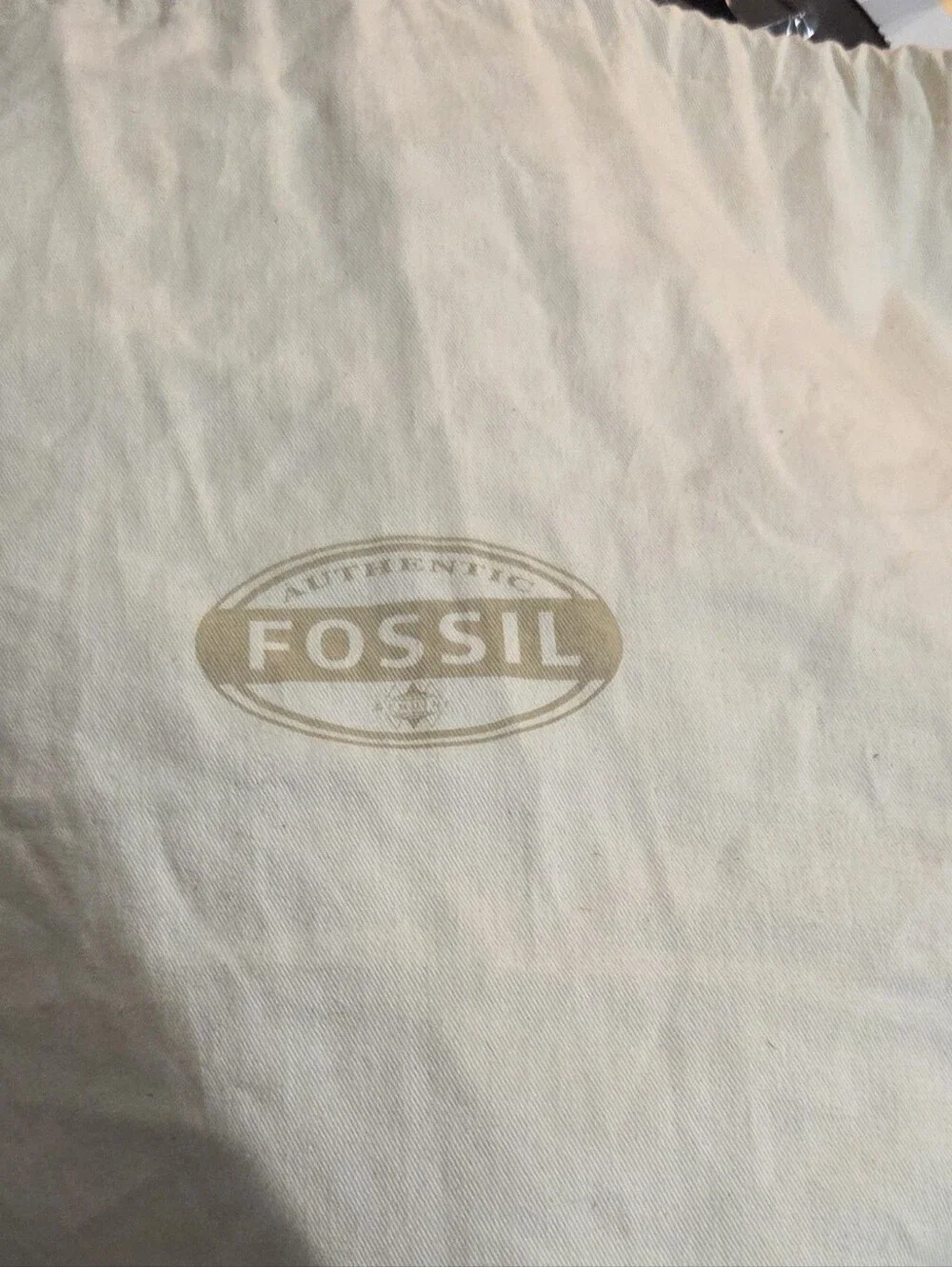 Fossil smooth camel